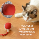 Brinquedo Interativo Inteligente para Gatos – Bola Automática Recarregável